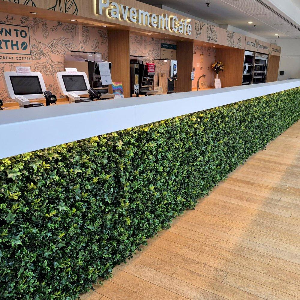 Long box hedge bar for hire. Can be hired per metre.